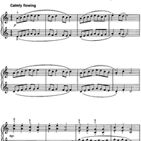 Garden Pools in Kyoto