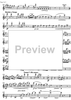 Jarní Hudba (Spring music) - Flute