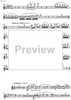 Concerto Op.93 - Flute