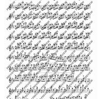 100 Technical Paraphrases on Kreutzer-Etudes