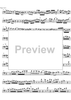 Eclipse - Bass Recorder