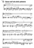 Danza nell'orto della petenera Op.41
