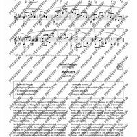 100 Classical and Romantical Études