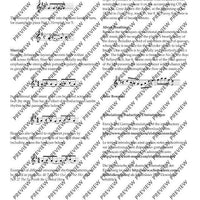 Irish Folk Tunes for Descant Recorder