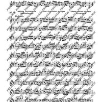 100 Short Technical Paraphrases on Kayser's Etudes