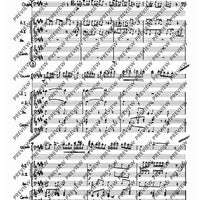 Concerto E Major - Score