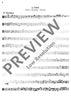 Consort - Tenor Recorder/viola