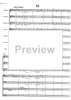 Miniatures Vol. 5 - Score