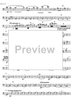 Divertimento - Bass Clarinet