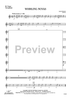 Whirling Novas - Tenor Saxophone