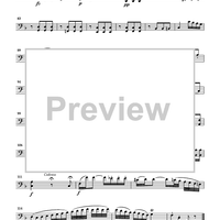 Cello Accompaniments - Volume 3