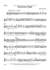 Boisterous Flight - Violin 1