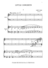 Little Concerto