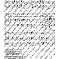 Komm mit mir nach Brasilien