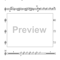 Breaking Point - Flute 1