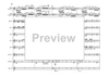 Bass Clarinet Double Concerto - Score