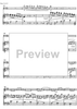 Fantaisie de concert - Score