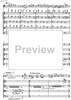 Contrabbasso concertante - Score