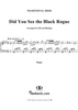 Did You See the Black Rogue