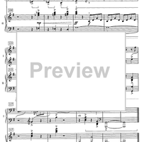 Concerto in G Major - 1st Movement