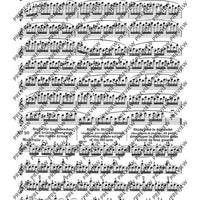 100 Short Technical Paraphrases on Kayser's Etudes