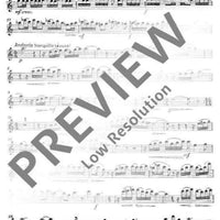 Divertimento giocoso - Flute I