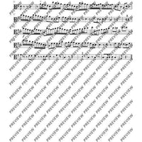 Concerto E Minor - Set of Parts