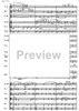 Concertino giocoso Op. 12