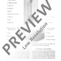 Schule des künstlerischen Balalaika-Spiels