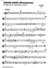 Jutranja pesem - Trumpet 2
