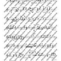 The Flute Expedition