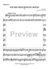 Sounds from Ringing Rocks - Euphonium 2 BC/TC