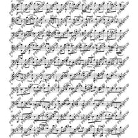 Introduction and Scherzino