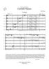 Circuite Suicus - Score
