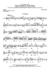 Seven Shards - Flute 2