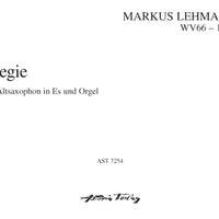 Elegie auf den Tod eines Freundes