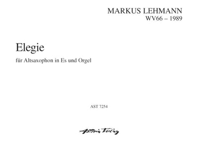 Elegie auf den Tod eines Freundes