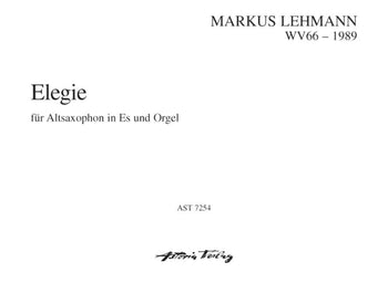 Elegie auf den Tod eines Freundes