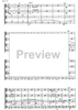 Piccolo divertimento - Score
