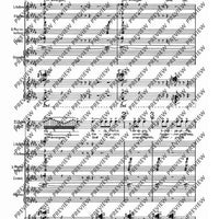 De temporum fine comoedia - Piano Reduction