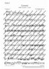Concerto A minor - Set of Parts
