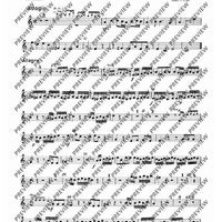 Concerto A minor - Set of Parts