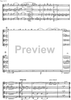 Divertimento preistorico - Score