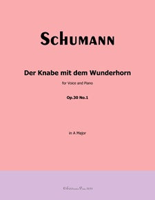 Der Knabe mit dem Wunderhorn, Op. 30, No. 1