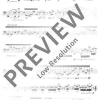 Fantasiestück und Recitativo passionato