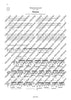 100 Classical and Romantical Études