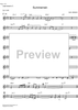Summerrain - C Instrument
