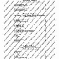 Südslawische Volkslieder