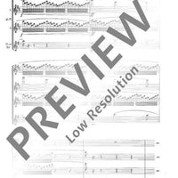 Modern Orchestral Studies for Flute