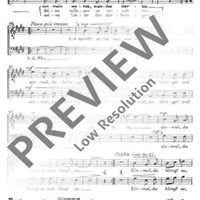 Spanisches Liederspiel - Tenor / Bass